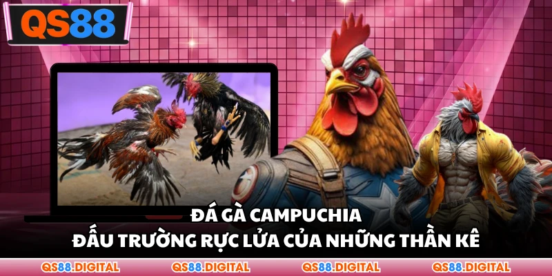 Đá Gà Campuchia - Đấu Trường Rực Lửa Của Những Thần Kê