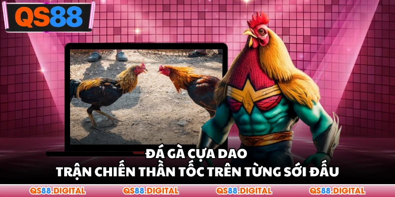 Đá Gà Cựa Dao - Trận Chiến Thần Tốc Trên Từng Sới Đấu