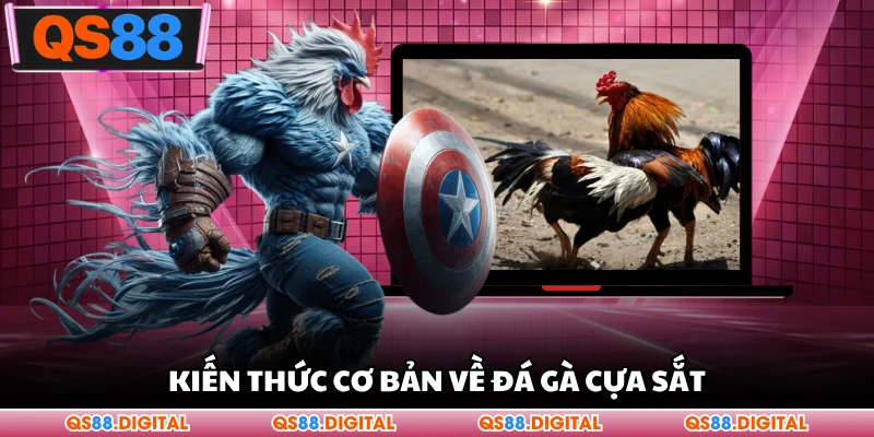 Sơ lược kiến thức cơ bản về đá gà cựa sắt