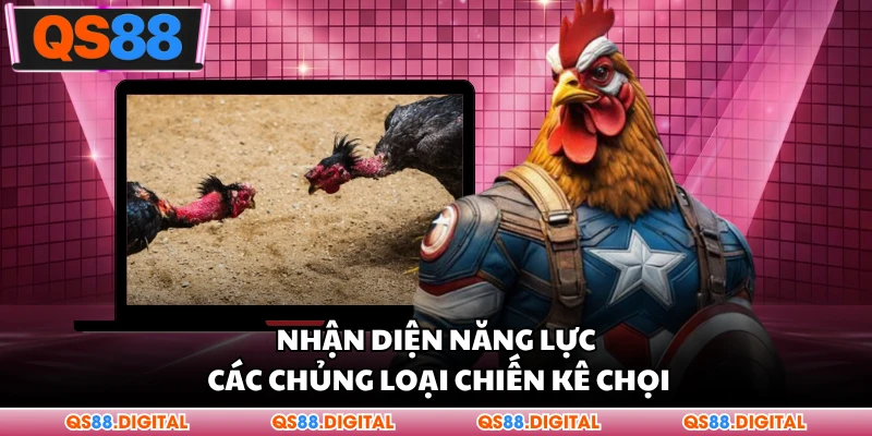 Nhận diện năng lực các chủng loại chiến kê chọi
