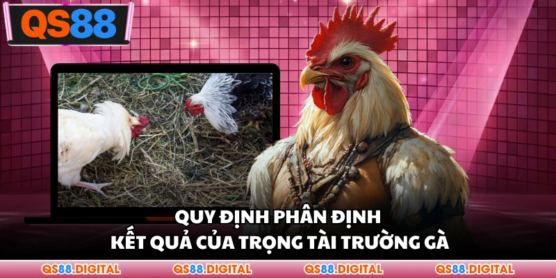 Quy định phân định kết quả của trọng tài trường gà