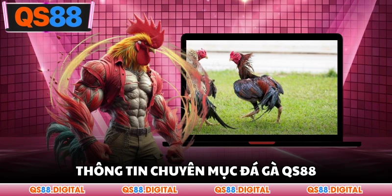 Thông tin chuyên mục đá gà QS88