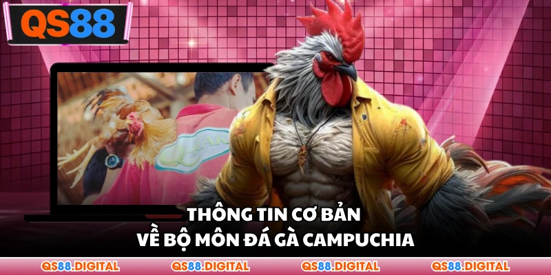 Thông tin cơ bản về bộ môn đá gà Campuchia