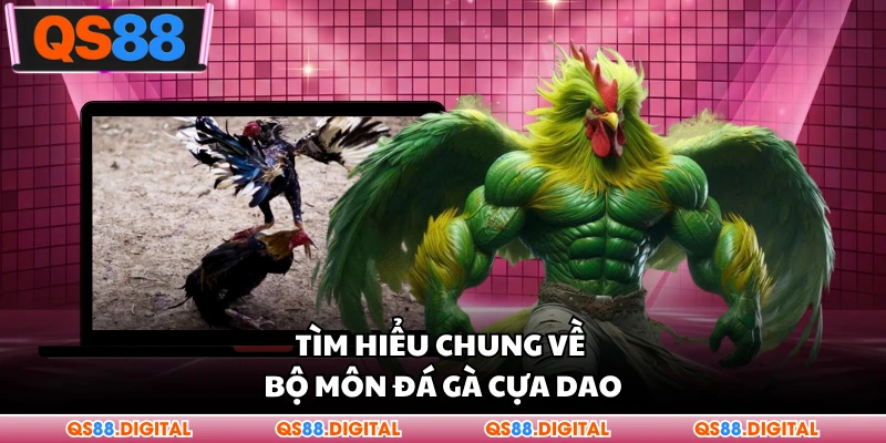 Tìm hiểu chung về bộ môn đá gà cựa dao